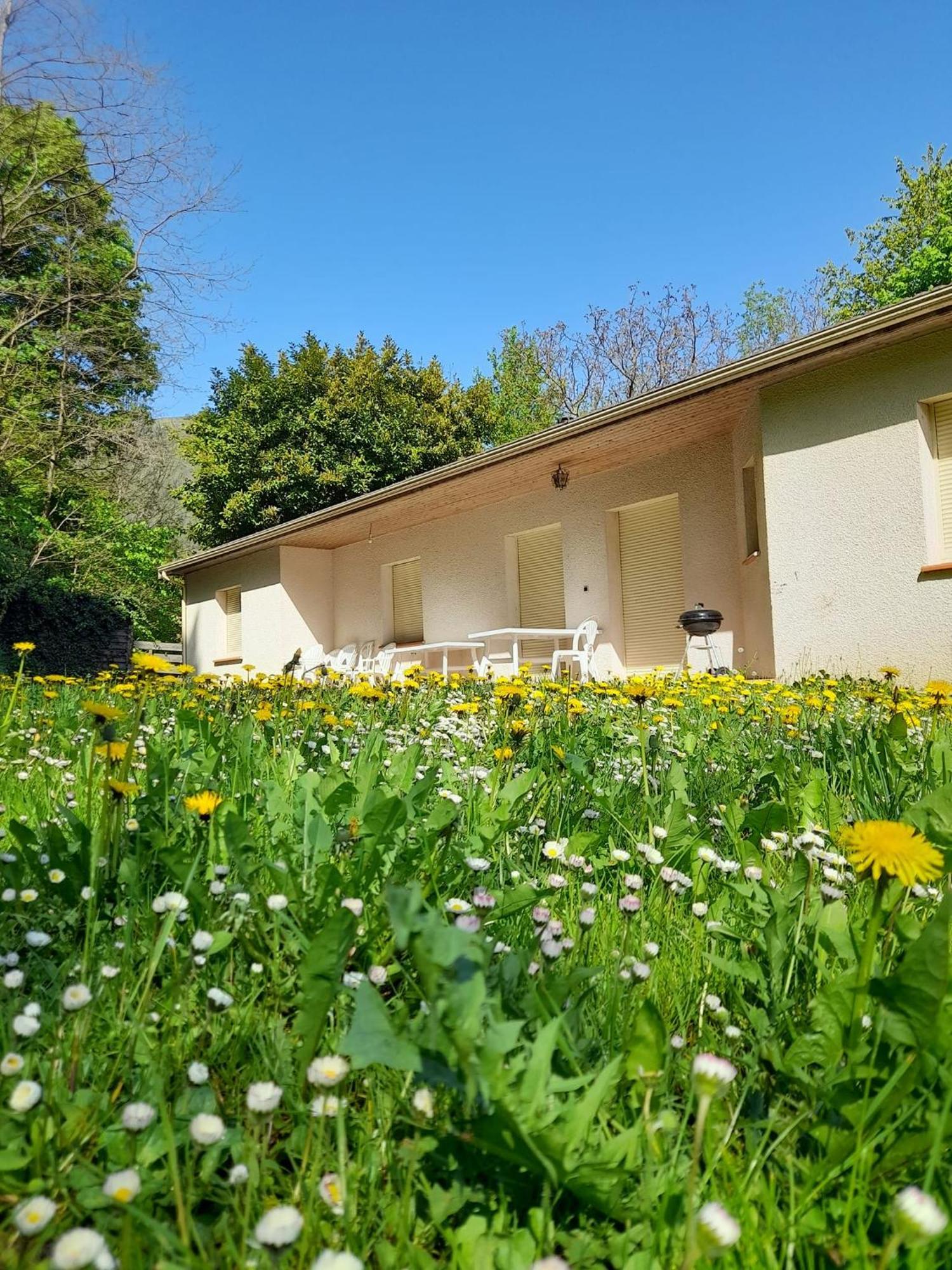 Gites Du Quie Les Cabannes  Exterior photo